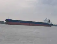 Granelero en venta