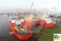 Soporte para buceo en venta