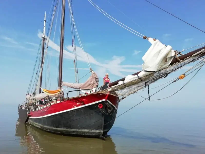 Buque granelero en venta