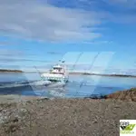 Buque Ro-Ro en venta