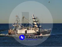 Buque transportador de peces vivos en venta