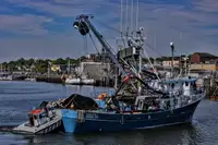 Arrastrero de cerco en venta