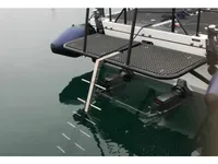 Bote inflable rígido en venta