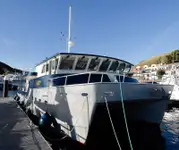 Remolcador en venta