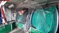 Buque transportador de peces vivos en venta