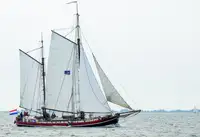 Buque granelero en venta