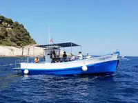 Trawler en venta