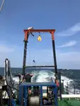 Embarcaciones de trabajo en venta
