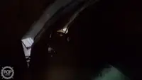Arrastrero en venta