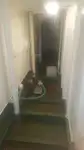 Buque Ro-Ro en venta