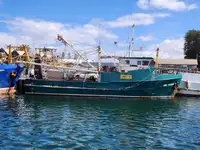 Arrastrero en venta