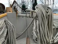 Arrastrero en venta