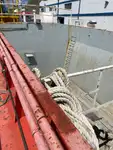 Embarcaciones de trabajo en venta
