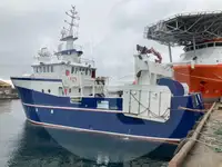 Arrastrero de viga en venta