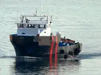Barcos de trabajo en venta