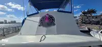Soporte para buceo en venta