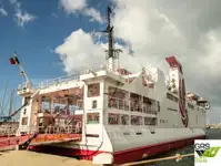 Buque Ro-Ro en venta