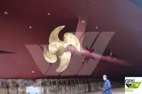 Buque de crucero en venta