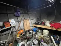 Arrastrero en venta