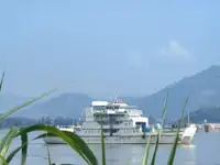 Catamarán en venta