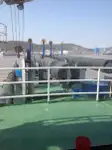 Dragado en venta