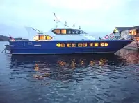 Barco de transbordador en venta