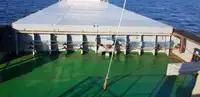 Buque granelero en venta