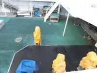Arrastrero en venta