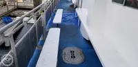 Catamarán en venta