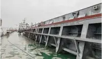 Buque granelero en venta