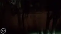 Arrastrero en venta