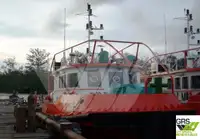Barcos de trabajo en venta