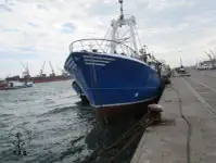 Arrastrero en venta
