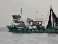Arrastrero de cerco en venta