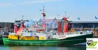 Buque de suministro rápido (FSV) en venta