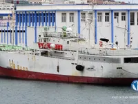 Palangrero en venta