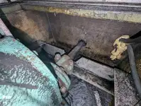 Transbordador de crucero en venta