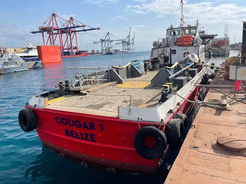 Buque portacontenedores en venta