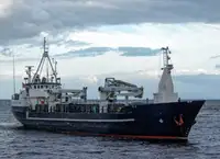 Granelero en venta