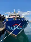 Buque de crucero en venta