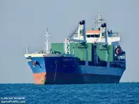 Granelero en venta
