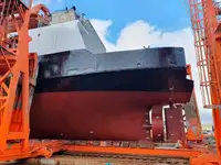 Buque granelero en venta