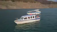 Buque de crucero en venta