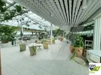 Buque de crucero en venta