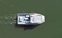 Catamarán en venta