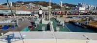 Buque Ro-Ro en venta