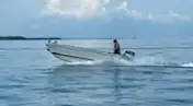 Barcos de trabajo en venta