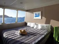 Catamarán en venta