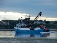 Arrastrero de cerco en venta
