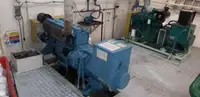 Patrullera en venta